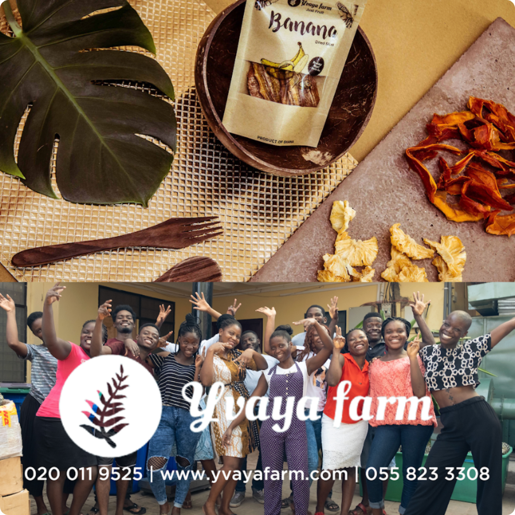 株式会社SKYAH・藤田あやこ